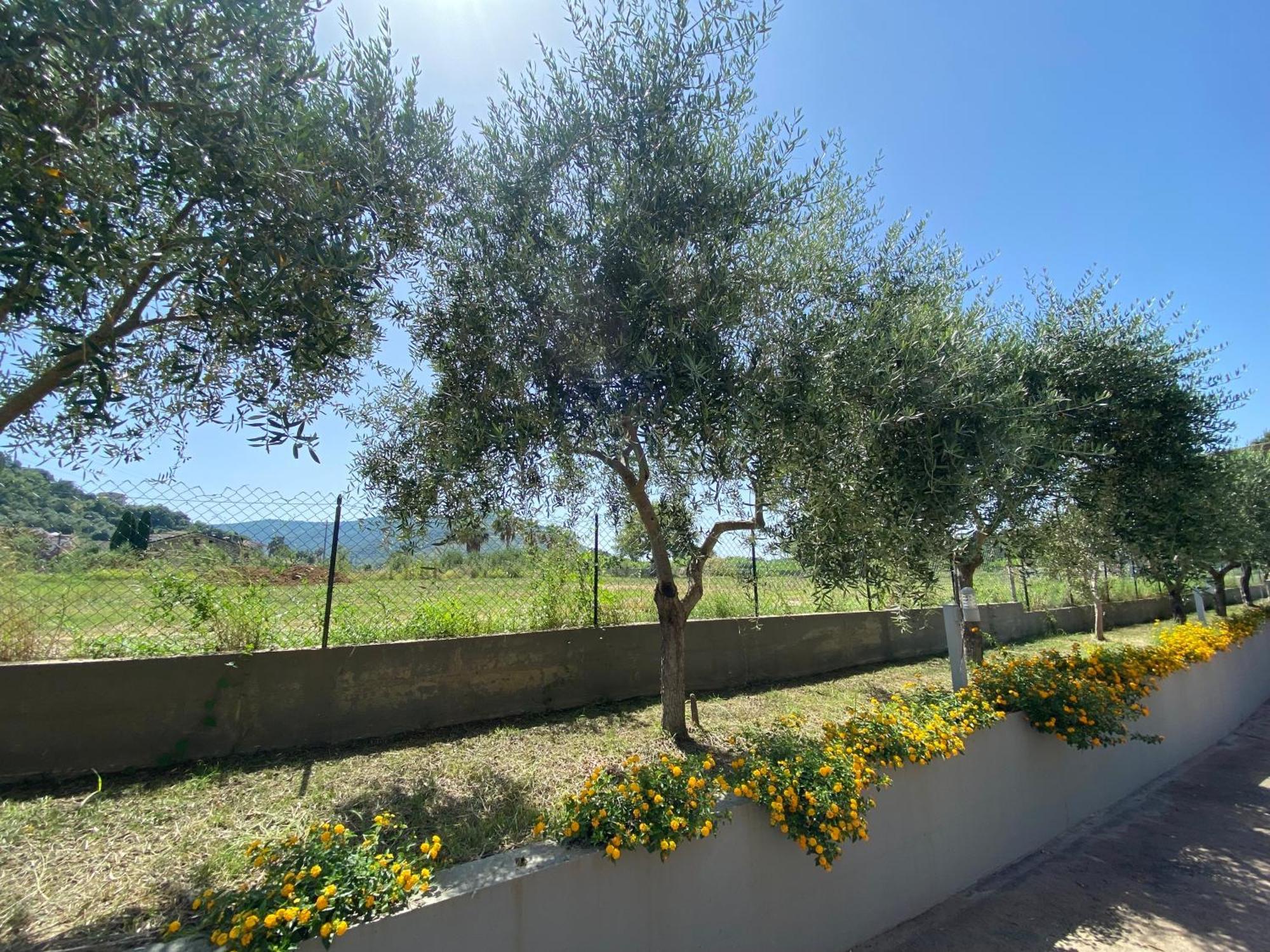 Miro' Agropoli Acomodação com café da manhã Exterior foto